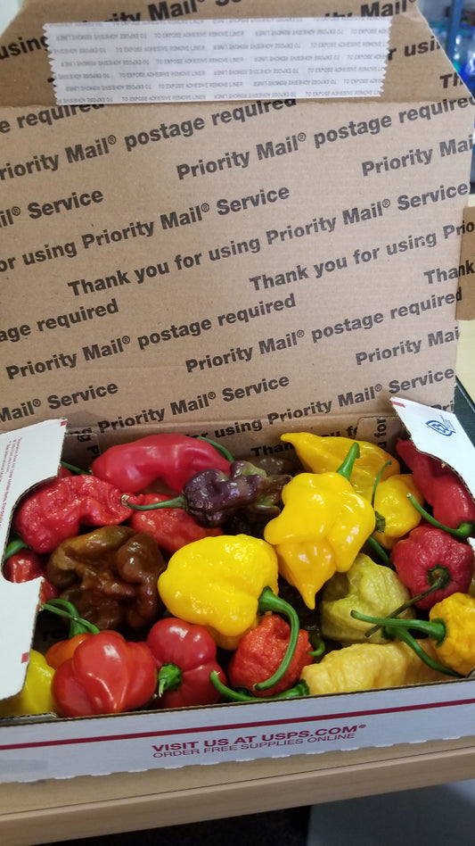 Fresh Hot Pepper Pod Boxes (seasonal)(Free Shipping)