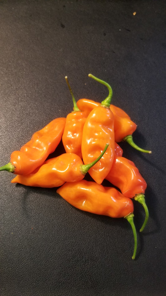 Habanada Pepper Seeds