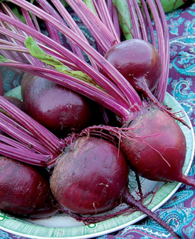 Detroit Dark Red Beet (Organic)