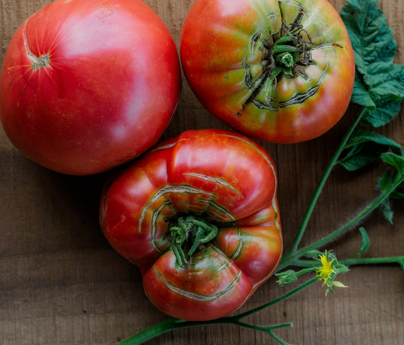 Brandywine Tomato Seeds